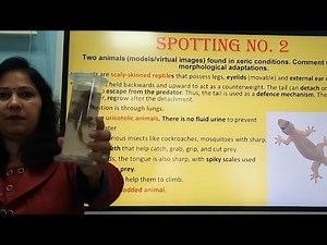 Bio Practical syllabus and Spotting 2024-25 @biomadeeasywithrachnashukl2285