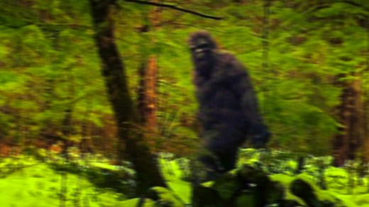 Top 10 Convincing Bigfoot Sightings with Evidence | Most Amazing Top 10