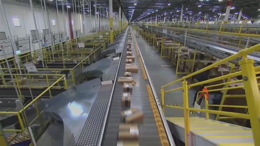 What is a brushing scam?