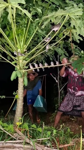 Addressing View Problems on Islamic Videos