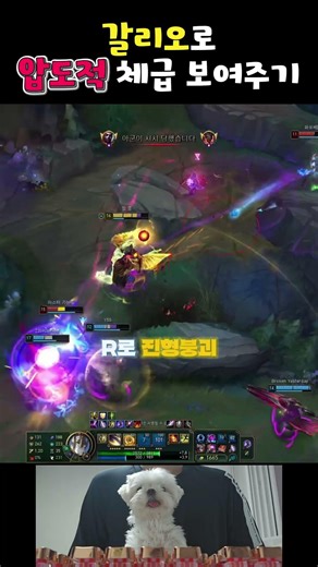 갈리오 사용방법2 체급앞에 무@릎 꿇어라.. #롤 #리그오브레전드 #카타리나 #게임 #갈리오 #아리 #매드무비 #제드 #탈론 #lol #벡스 #야스오 #요네 #탈리야 #에코