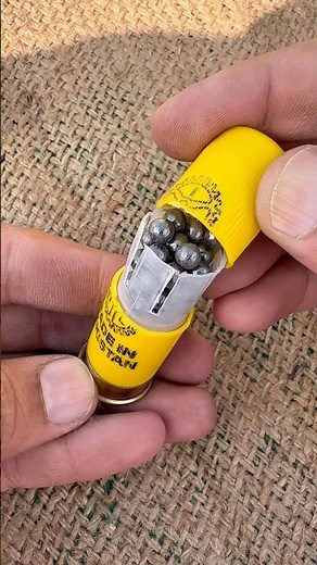 What is inside AAA Buckshot — Let’s Cut it Open #hunting #review #buckshot