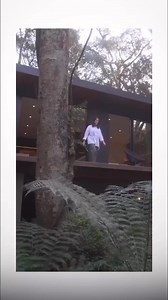 $ 1 000 000 million dollars for 30 days of isolation silence and solitude | Follow Real Facts For more #satisfyingvideos #expensive #challenge #solitude #country #silence #facebook #instagram #style #photooftheday #photography #woods #tiktok #Youtube #isolation #beautiful | Real Facts