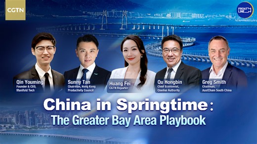 Live: China in Springtime - the Greater Bay Area playbook