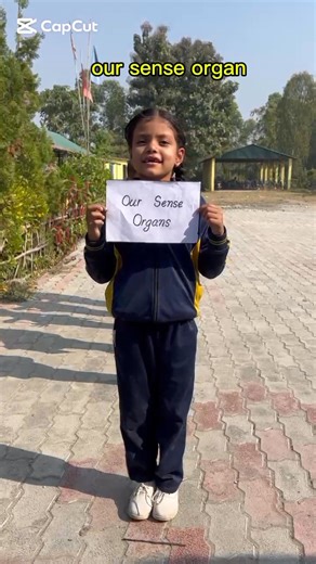🌟 Little learners exploring the Sense Organs 🌟 Our Class One students did a wonderful job learning about how we see, hear, smell, taste, and touch! 👀👂👃👅✋ So proud of their curiosity and confidence! 💖 #ClassOne #SenseOrgans #LittleLearners #LearningIsFun #YoungMinds #PrimaryEducation #SchoolLife | Kaseni Model Secondary English School