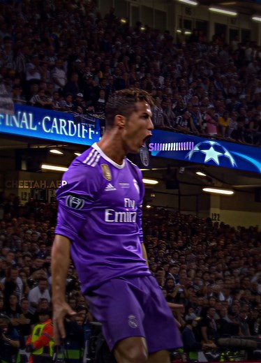 Maltese Cheetah Song - Trending and Viral Video