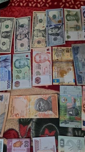 My Currency Collection🤑 #collection #currency #country #money #notes #ytshorts #reels #numismatics