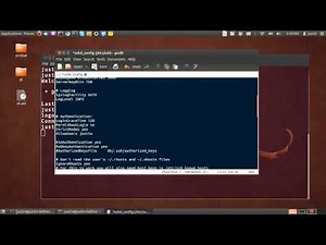 install the openssh-server in ubuntu 12.04