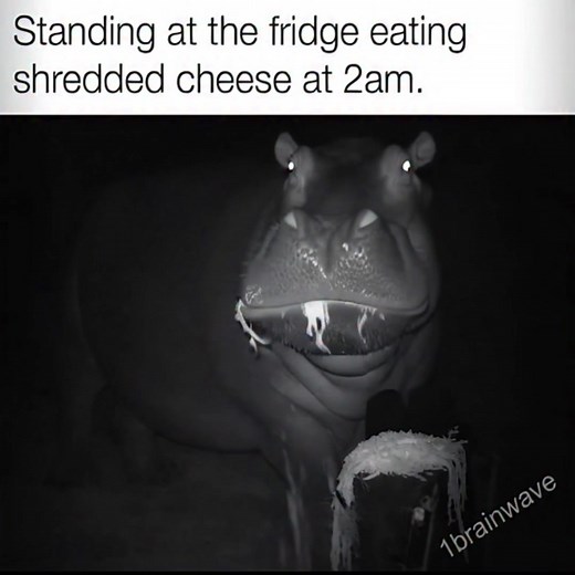 I may or may not fall into this category. 😂😂😂😂😂 #midnight #midnightsnack #facebookreels #1brainwave #foryouシ #comedy #funnymoments #fyp #humor #funny #lol | Charles Lafferty