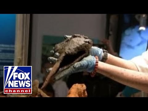 Pirate Captain Black Sam Bellamy body found?