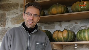 3 astuces pour conserver vos courges tout l’hiver