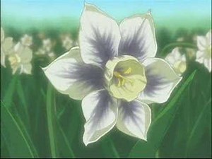 Wolf's Rain - Night Owl