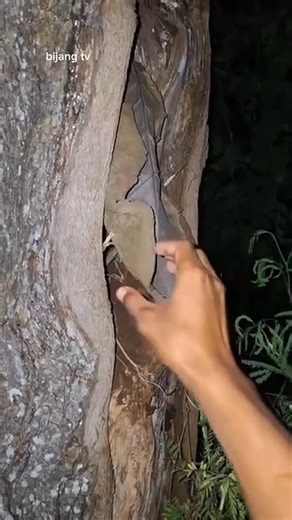 152K views · 836 reactions | #tanzania #usareels #msumbiji #Congo #funnymoments #funnyreels #angola #kenya #funnyvideos #oman #Zambia | Arbeto Malalo | Facebook