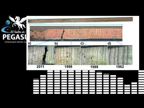 Episodio 3 -Mecanismos de resiliencia dendrogenómica de dos abetos mexicanos en peligro de extinción