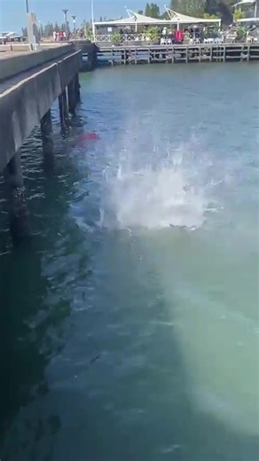 Failed to jump or run🙂#foryour #fail #jump #funny #tiktok | Fail Video