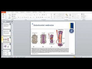 Bone development and formation - Embryology.