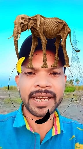 Elephant 🐘 puzzle 🧩 circle ⭕ game 🎮🎯 #elephant #puzzle #circle #fbreels #fb #highlight #challenge #foryouシ #games | Roaming Circle