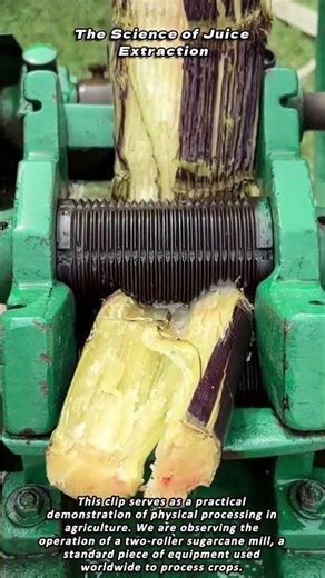 The Science of Juice Extraction