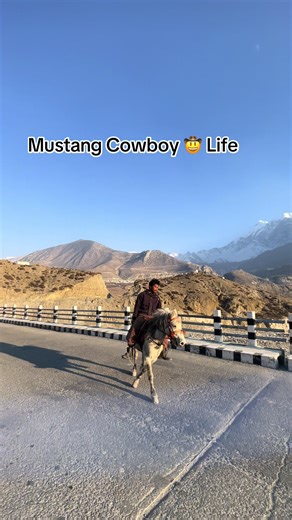 Exploring Mustang Cowboy Life: A Day in the Saddle