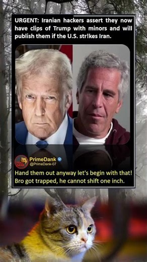 The ultimate checkmate caught on camera ♟️📸 | relatable American memes | primedank