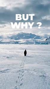 That's Why 🐧❄️ #tyres #tires #everest3 #butwhy | Syron Tires