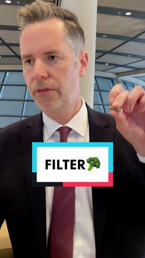 Cannabis Filter und Joint Drehen erklärt