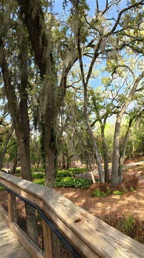 lakeland #travel #florida #shorts