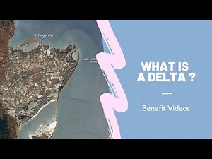 What Is A Delta ?