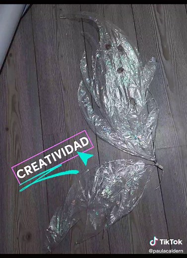 Paula Calderón on TikTok