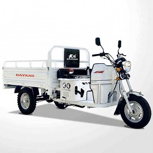 [Hot Item] 3 Wheeler Cargo Motorcycles 150cc Popular Heavy Capacity Cargo Tricycle