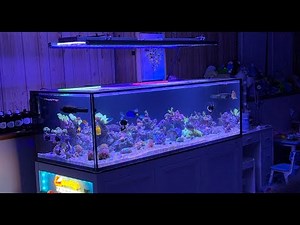 My new 200g Reef Tank! Innovative Marine 200 EXT