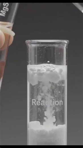 MgSO₄ + Na₂CO₃ Reaction Explained | Double Displacement Reaction #Shorts
