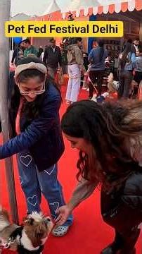 Pet Fed Delhi 2025 | Pet Fed Festival NSIC Okhla | Pet Festival Delhi |Dog Shows & Pet Festival 2025