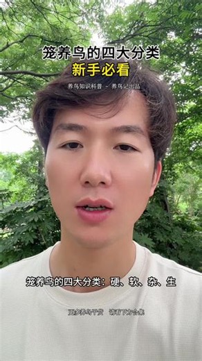 新手必看，你的鸟属于什么特征，该如何喂养 #养鸟经验分享 #养鸟知识 #懂鸟君鸟食 #鸟饲料#刺客也玩鸟
