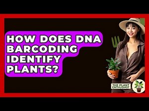 How Does DNA Barcoding Identify Plants? - The Plant Enthusiast