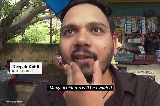 New Delhi Is Ordered to Round Up Hundreds of Thousands of Stray Dogs