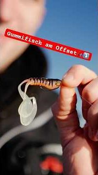 Gummifisch am Offsethaken - so geht’s🎣#raubfischangeln #spinnfischen #angeln #gummifisch #barsch