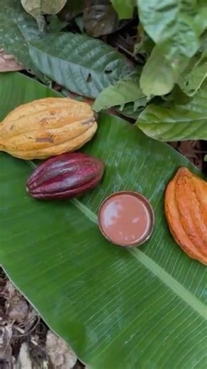 The Best Ceremonial Cacao I’ve Ever Tasted (Amazon Jungle Diary Part 3)