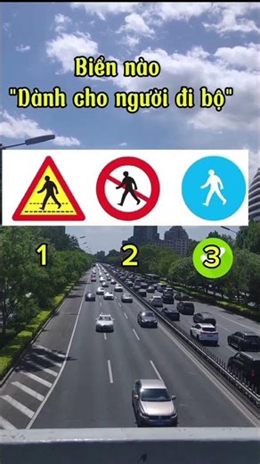 Học lái xe B1,B2 #lythuyetlaixe #600caulythuyet
