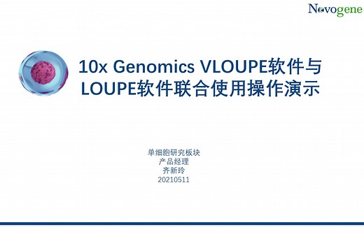 【单细胞】10x Genomics VLOUPE软件与LOUPE软件联合使用操作演示
