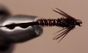 Video: How to Tie the American Pheasant Tail Nymph - Orvis News