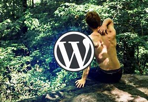 20  Best Chiropractor & Physiotherapy WordPress Themes for 2025 | Envato Tuts