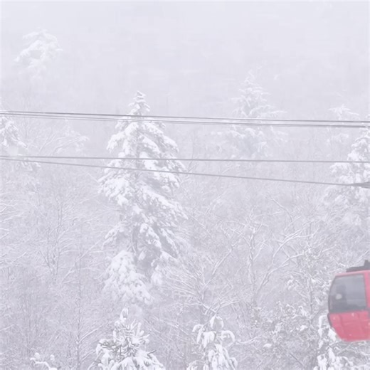 Snow is falling at Stowe! Grab your gear, grab your friends, and book your lift tickets. It's time for the ultimate adventure on Vermont's highest peak. | Stowe Mountain Resort