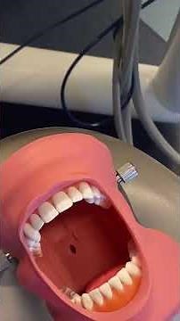 Anterior Sickle Scaler