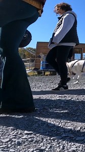 We had a pawsome time last weekend at our second annual Howl O'Ween Doggie Parade! Thank you to everyone who came out and a special thanks to Sit, Stay, 'N Play and Le Petite Paw Pet Bakery for partnering with us. We can't wait until next year🐶 🎃 | Camelback Resort PA