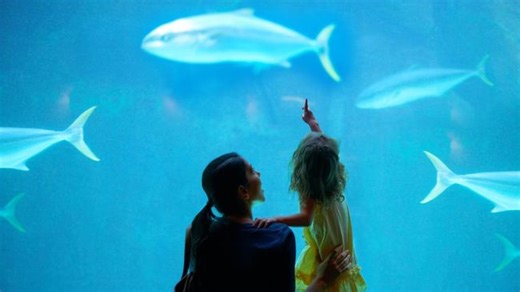 20 Contoh Hewan Vertebrata, Ciri, Klasifikasi & Bedanya dengan Avertebrata