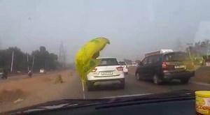 7.4K views · 1K reactions | Ajj 5:00 Pm Full Song Kreange Release Kreo Support. Kisan Majdoor Ekta Zindabad | Sheera Jasvir | Facebook