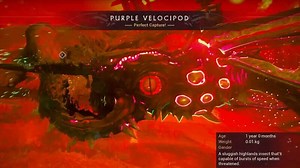 Warframe - Purple Velocipod Spawn Locations