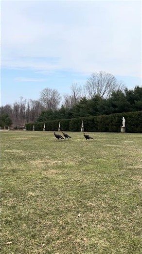 Ipswich, MA, March 2026
