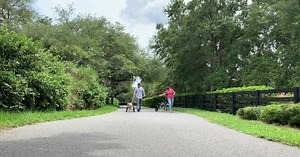 Meet the ‘Handicapables': Pack of special needs pups teach humans what's possible